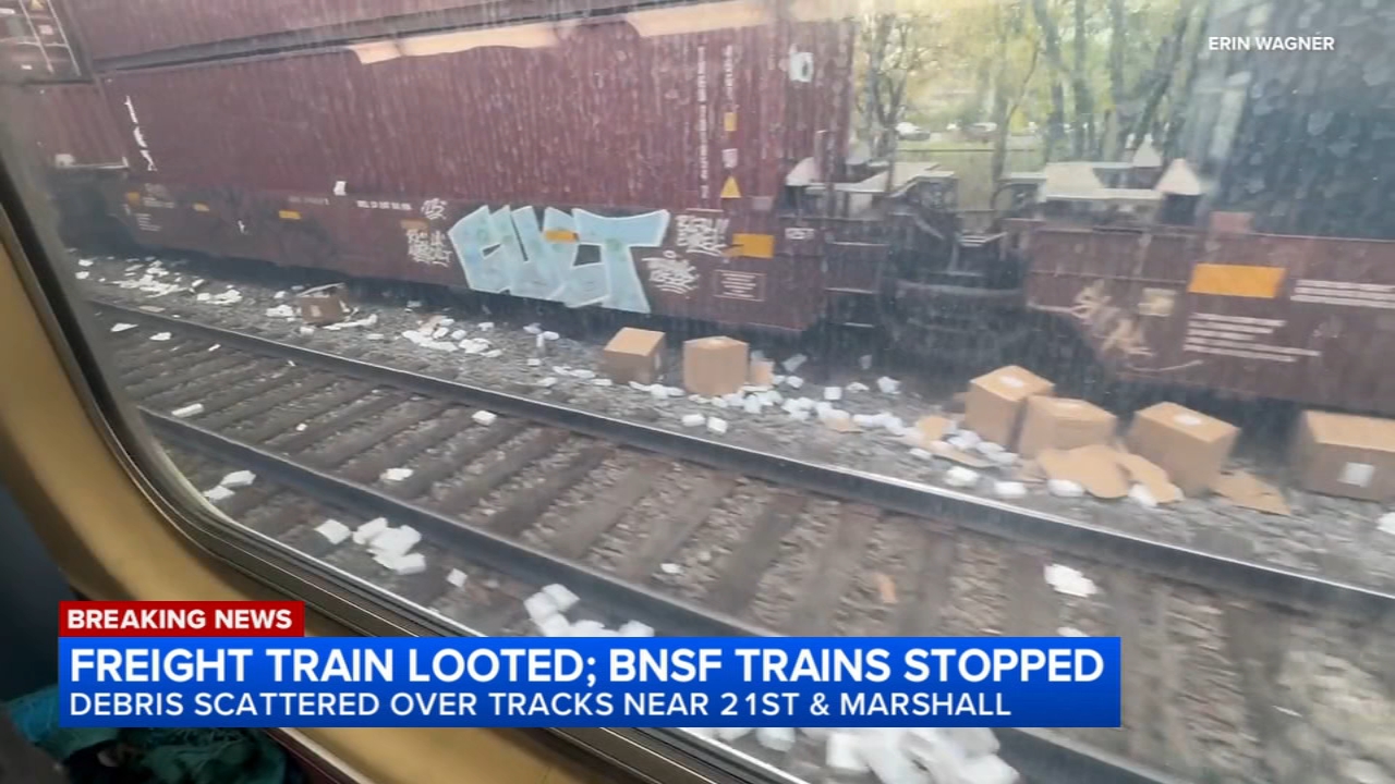 Freight train looted on West Side; BNSF services delayed, Metra says
— Naperville Community news