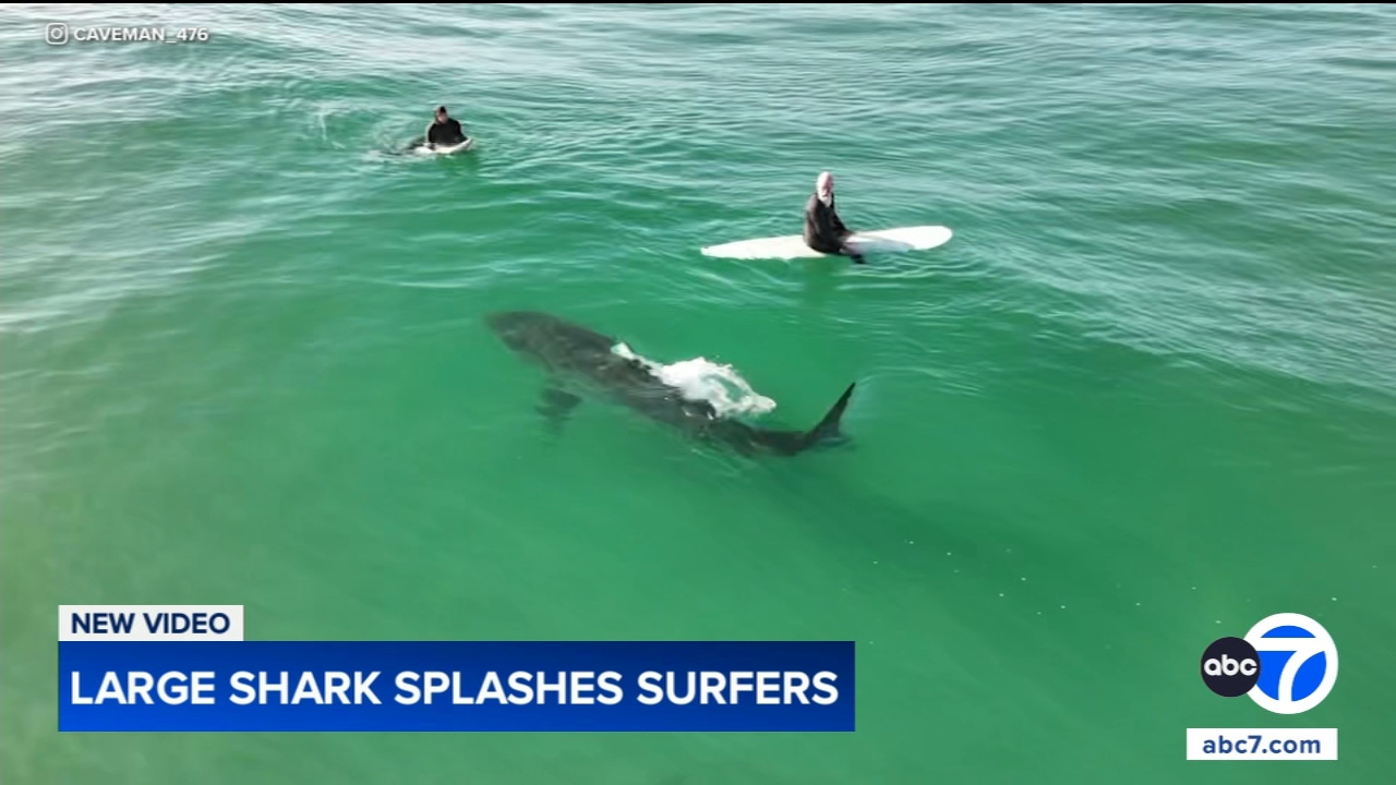 Shark swims near surfers, splashes one with its tail in close encounter off California coast, video shows
— Naperville Sports news