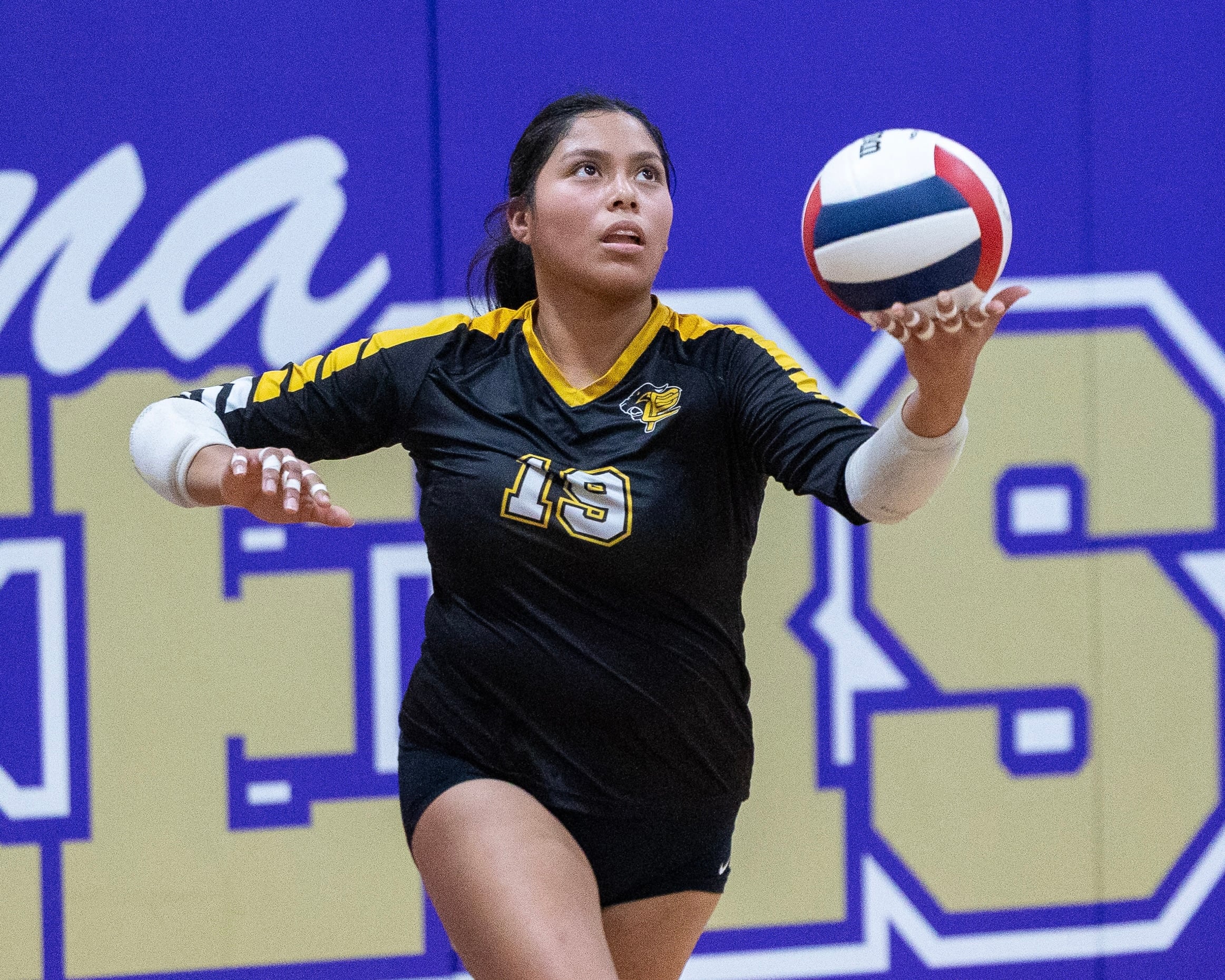 Putnam County volleyball falls in regional final: Thursday’s NewsTribune/BCR roundup — Naperville Community news