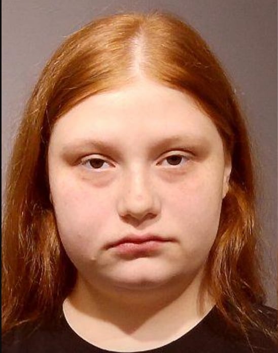 Plano woman charged after allegedly attempting to run over someone during dispute — Naperville Community news