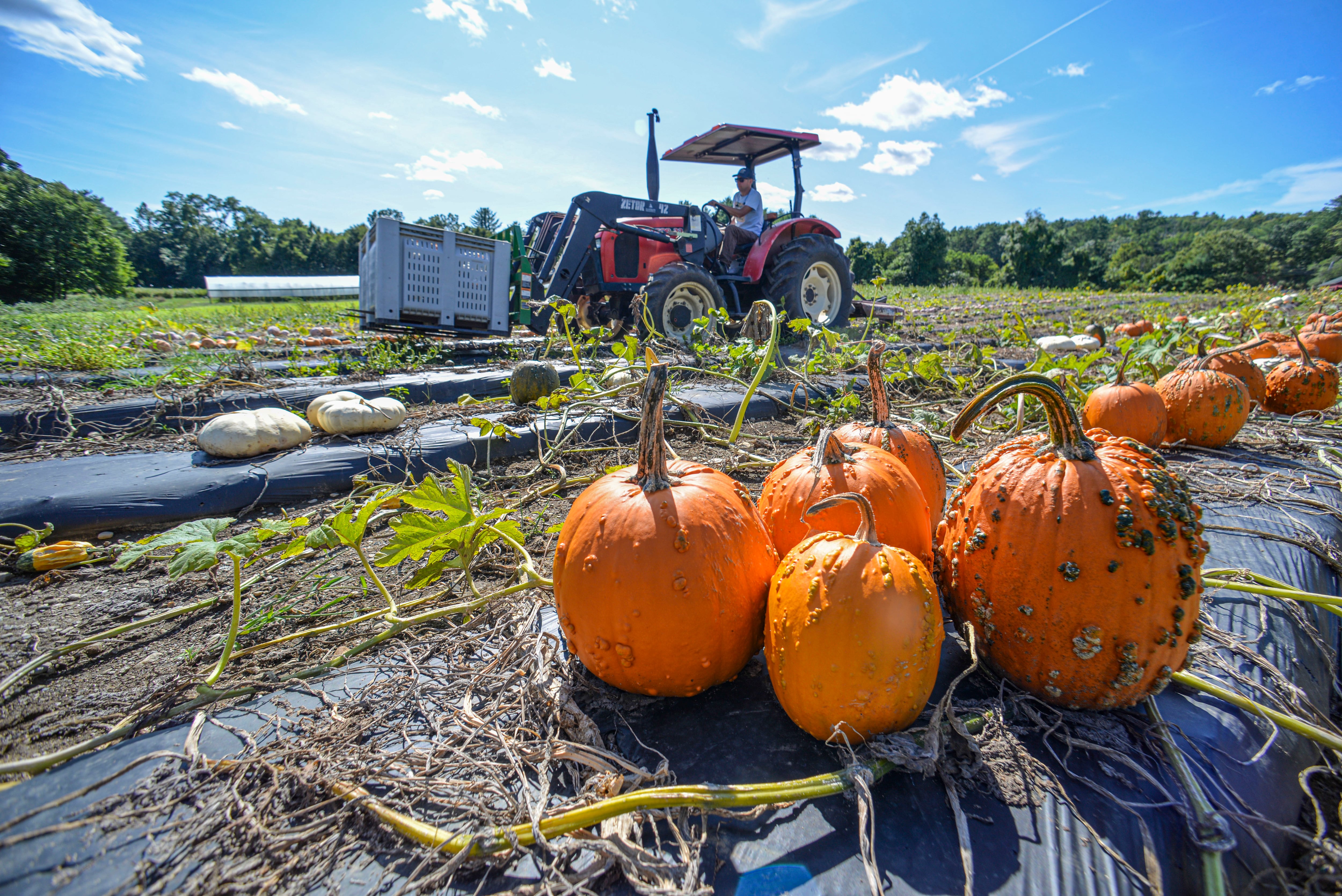 Breaking point: Rising costs grip ag economy — Naperville Arts news